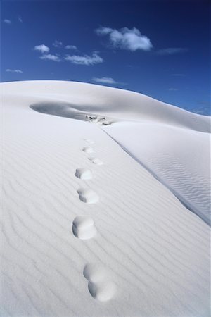 simsearch:700-00917889,k - Footprints in Sand, Wilson Bluff, Eucla National Park, Western Australia, Australia Stock Photo - Rights-Managed, Code: 700-00610119