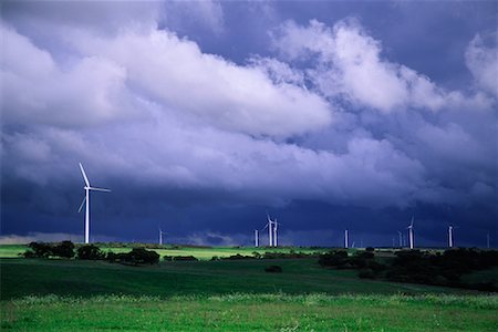 simsearch:600-00819428,k - Wind Farm and Storm Clouds, Greenough, Western Australia, Australia Foto de stock - Con derechos protegidos, Código: 700-00610185