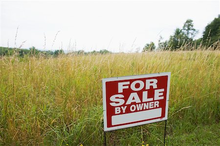 simsearch:700-03508131,k - For Sale Sign in Field Stock Photo - Rights-Managed, Code: 700-00610505