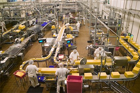 simsearch:700-00059302,k - Production Line in Cheese Factory, Tillamook, Oregon, USA Stock Photo - Rights-Managed, Code: 700-00610820