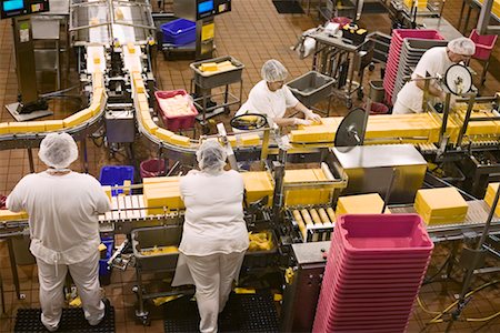 simsearch:700-00059302,k - Production Line in Cheese Factory, Tillamook, Oregon, USA Stock Photo - Rights-Managed, Code: 700-00610821