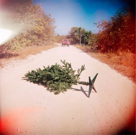 Christmas Tree on Road Stock Photo - Rights-Managed, Code: 700-00623507