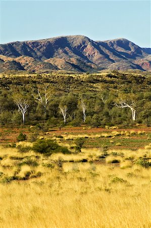 simsearch:400-03947083,k - Mountains Near Haasts Bluff, Northern Territory, Australia Stock Photo - Rights-Managed, Code: 700-00635485