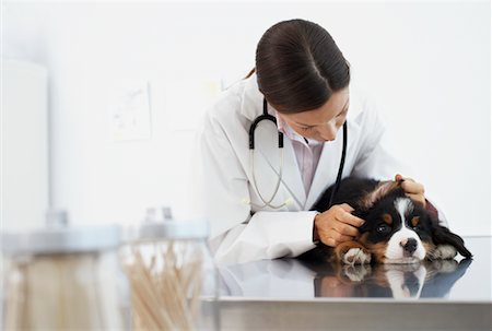 simsearch:700-00609561,k - Veterinarian Checking Puppy's Ear Stock Photo - Rights-Managed, Code: 700-00644270
