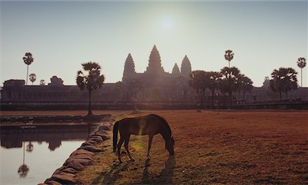 Horse Grazing Outside of Angkor Wat Temple, Cambodia Stock Photo - Rights-Managed, Code: 700-00641050