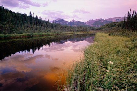 Sibbeston River, Northwest Territories, Canada Stock Photo - Rights-Managed, Code: 700-00659739