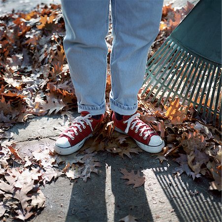 simsearch:700-02245458,k - Person Standing in Leaves with Rake Stock Photo - Rights-Managed, Code: 700-00661231