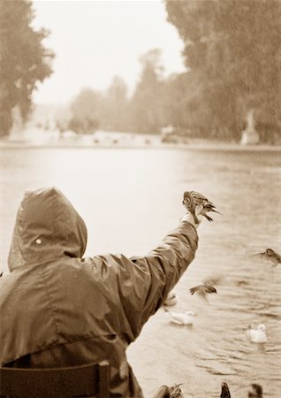 Man Feeding Birds in Park Stock Photo - Rights-Managed, Code: 700-00680999