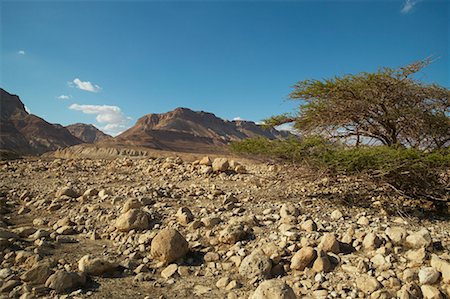 Rocky Desert, Israel Stock Photo - Rights-Managed, Code: 700-00681316