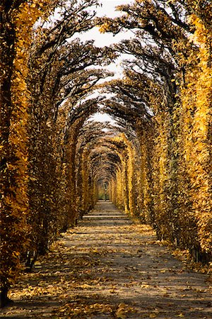 schloss schonbrunn - Jardins du Palais Schönbrunn, Vienne, Autriche Photographie de stock - Rights-Managed, Code: 700-00711701