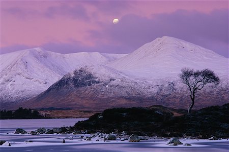 simsearch:700-03768721,k - Hills and Moor, Rannoch, Scotland Stock Photo - Rights-Managed, Code: 700-00747723