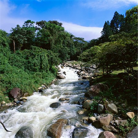 simsearch:700-00023229,k - Stream with Rapids, Boquete, Panama Foto de stock - Con derechos protegidos, Código: 700-00768761