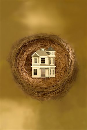 simsearch:700-00023730,k - House in Nest Stock Photo - Rights-Managed, Code: 700-00782219