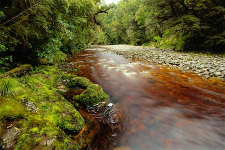 simsearch:700-03799549,k - Oparara River, Kahurangi National Park, South Island, New Zealand Stock Photo - Rights-Managed, Code: 700-00846858