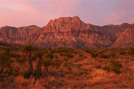 Red Rock Canyon National Conservation Area, Nevada, USA Stock Photo - Rights-Managed, Code: 700-00847997