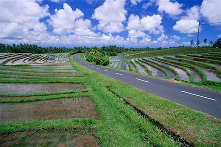 simsearch:700-00057322,k - Terraced Rice Paddy, Bali, Indonesia Stock Photo - Rights-Managed, Code: 700-00866331