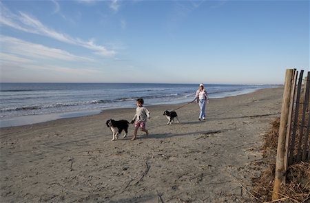 Grandmother and Grandson Walking Dogs on Beach Stock Photo - Rights-Managed, Code: 700-00912280