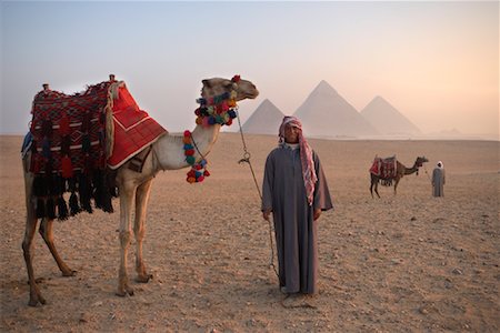 Men Posing with Camels in the Desert, Giza Pyramids, Giza, Egypt Foto de stock - Con derechos protegidos, Código: 700-01043617
