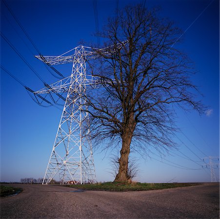 fork road - Lime Tree and Hydro Tower, Kapelle, Zeeland, Netherlands Stock Photo - Rights-Managed, Code: 700-01072717