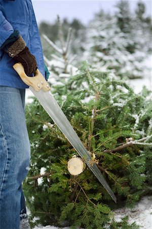 simsearch:700-02700162,k - Person Cutting Christmas Tree at Tree Farm Foto de stock - Con derechos protegidos, Código: 700-01083179
