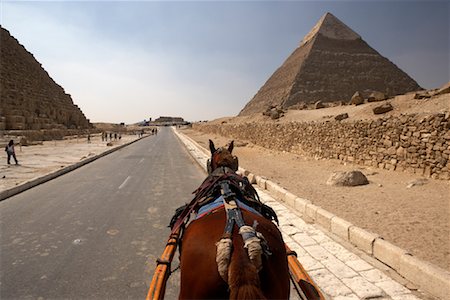 simsearch:400-04201054,k - Horse Ride Through Giza, Egypt Stock Photo - Rights-Managed, Code: 700-01099673