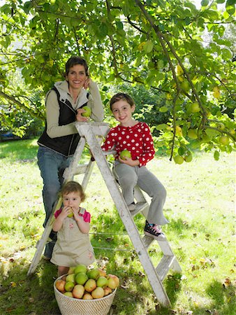 family apple orchard - Famille dans le verger Photographie de stock - Rights-Managed, Code: 700-01119832