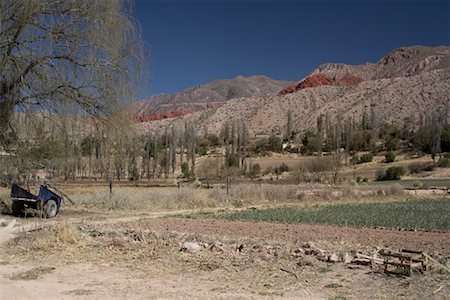 simsearch:700-02912115,k - Terres agricoles, Quebrada de Humahuaca, Province de Jujuy, Argentine Photographie de stock - Rights-Managed, Code: 700-01110522