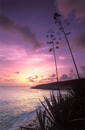 saint martin caribbean - Sunset over Shoreline, Cupecoy Beach, St. Martin, Netherlands Antilles, Caribbean Stock Photo - Rights-Managed, Code: 700-01111280