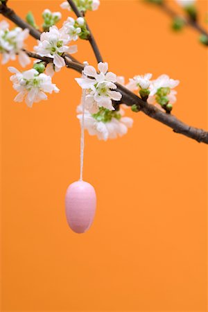 simsearch:600-07110444,k - Egg Hanging from Cherry Blossom Stock Photo - Rights-Managed, Code: 700-01173343