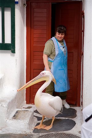 Woman and Pelican, Mykonos Town, Mykonos, Greece Stock Photo - Rights-Managed, Code: 700-01185427