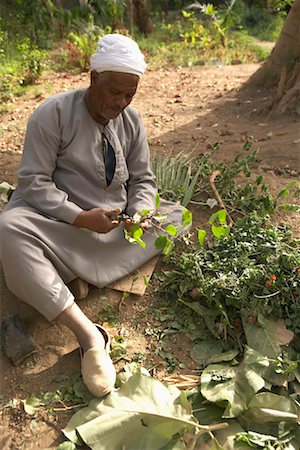 simsearch:841-02947168,k - Portrait of Gardener, Kitchener's Island, Aswan, Egypt Foto de stock - Con derechos protegidos, Código: 700-01182742