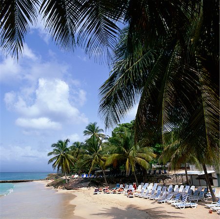 simsearch:700-03075663,k - Beach, Guadeloupe, Caribbean Stock Photo - Rights-Managed, Code: 700-01183632