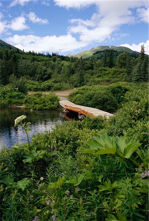 Kenai River, Alaska, USA Stock Photo - Rights-Managed, Code: 700-01194226