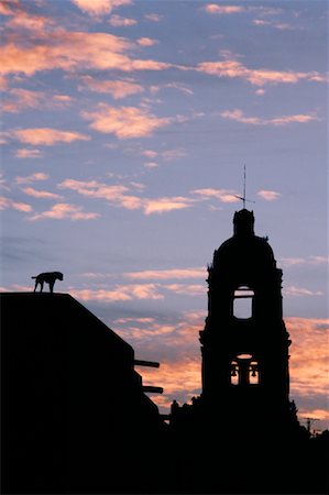 sun dogs - Silhouetted Dog and Church, San Miguel de Allende, Mexico Foto de stock - Con derechos protegidos, Código: 700-01195669