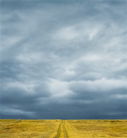 elizabeth knox - Tire Tracks in Field, L'Ile Verte, Quebec, Canada Stock Photo - Rights-Managed, Code: 700-01195860