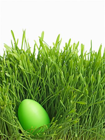 simsearch:700-01173313,k - Green Easter Egg in Grass Stock Photo - Rights-Managed, Code: 700-01196035