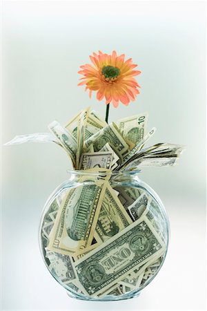 funding - American Money and Flower inside Glass Bowl Stock Photo - Rights-Managed, Code: 700-01200229