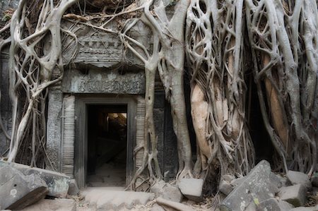 root ruin - Ta Prohm Temple, Siem Reap, Cambodge Photographie de stock - Rights-Managed, Code: 700-01248561