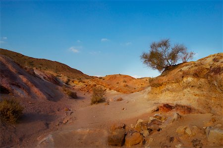 Desert With Colourful Sand, Israel Stock Photo - Rights-Managed, Code: 700-01275386