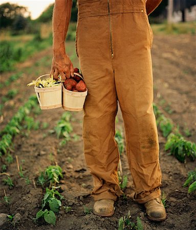 Farmer in Field Stock Photo - Rights-Managed, Code: 700-01276088