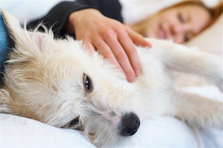 Woman Lying Down with Dog Stock Photo - Rights-Managed, Code: 700-01374301