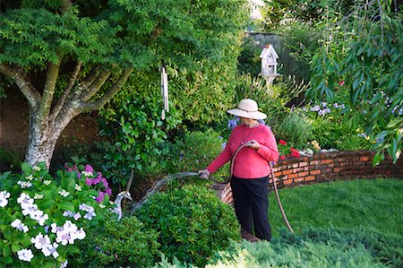 simsearch:700-01633321,k - Woman Gardening Stock Photo - Rights-Managed, Code: 700-01378549