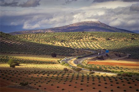 daryl benson landscape - Olive Orchards and Highway, Andalucia, Spain Stock Photo - Rights-Managed, Code: 700-01378773