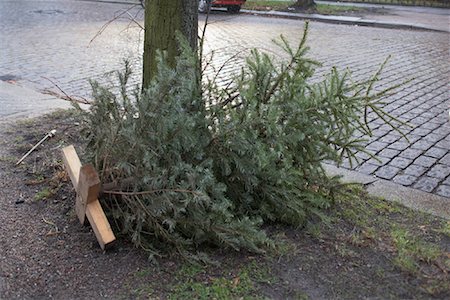 Christmas Tree at Side of Road, Hamburg, Germany Stock Photo - Rights-Managed, Code: 700-01429116