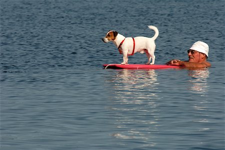 silly dog - Dog on Floating Board with Man Swimming Stock Photo - Rights-Managed, Code: 700-01463857