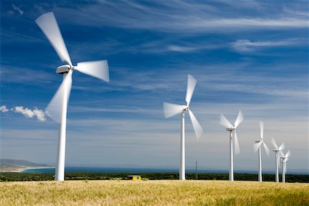 simsearch:600-00053375,k - Wind Turbines in Corn Field Stock Photo - Rights-Managed, Code: 700-01519331