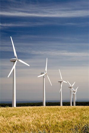 row of wind mill - Wind Turbines in Corn Field Stock Photo - Rights-Managed, Code: 700-01519332