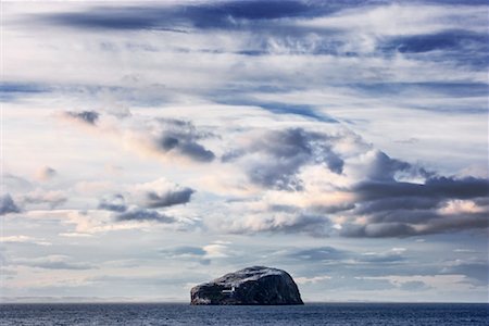 simsearch:700-03016994,k - Bass Rock, East Lothian, Scotland Stock Photo - Rights-Managed, Code: 700-01538973