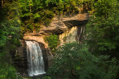 Looking Glass Falls, Pisgah National Forest, North Carolina, USA Stock Photo - Rights-Managed, Code: 700-01551672