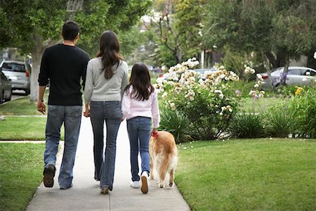 simsearch:700-00364230,k - Family Walking Dog Stock Photo - Rights-Managed, Code: 700-01585859